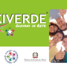 1d17ab00-81d3-4c63-b007-fae21368abca