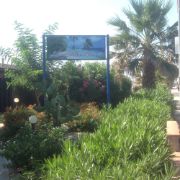 13840523_10207134757109934_739271119_o